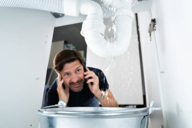 Best Water Heater Repair  in Silver Springs Shores, FL